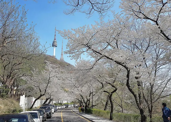 ホステル ナムサン ソウル特別市